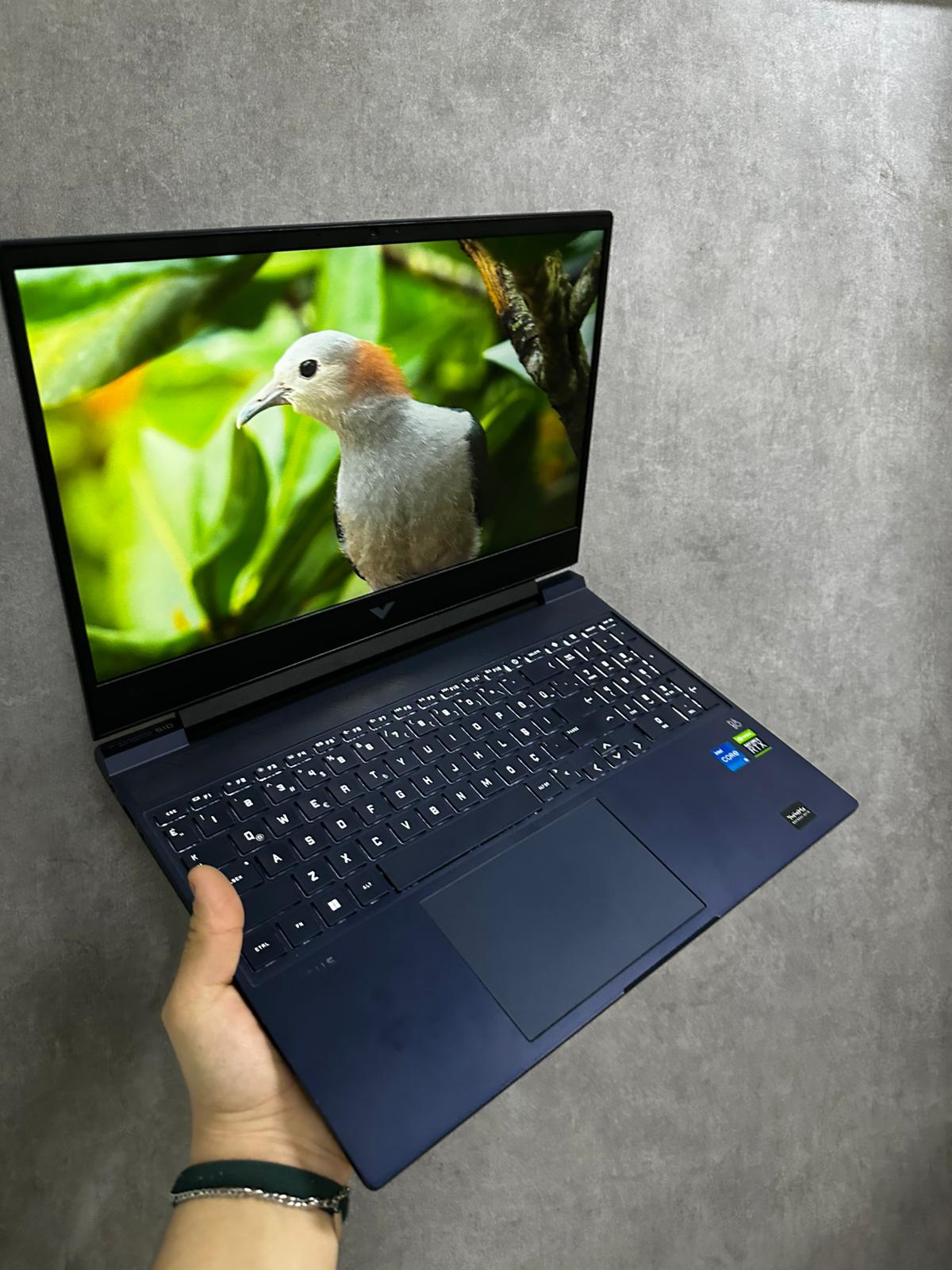 HP VİCTUS 15-FA0008NT (2. EL ÜRÜN)