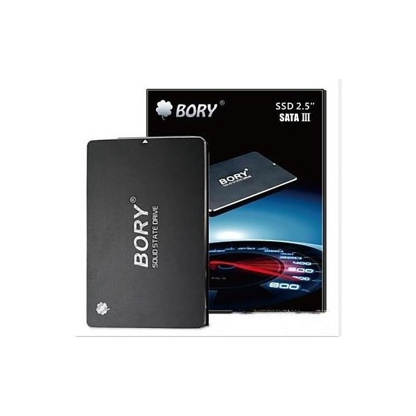 Bory R500-C256G 256GB 2.5